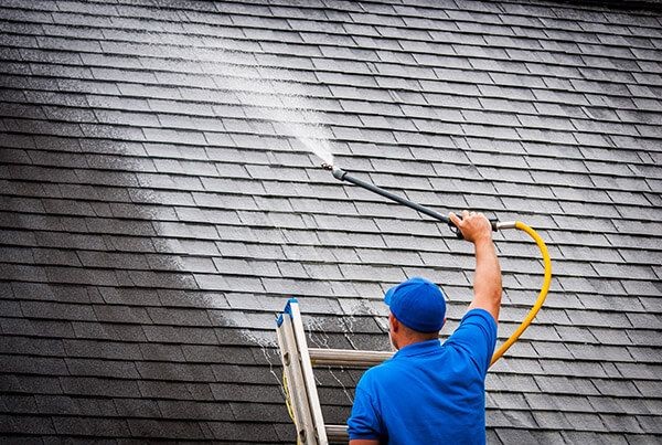 Roof Cleaning (from 5$ SqFt)